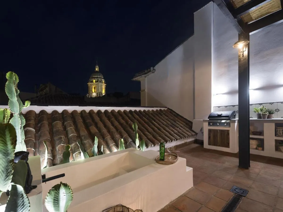 Old City Center Penthouse Málaga