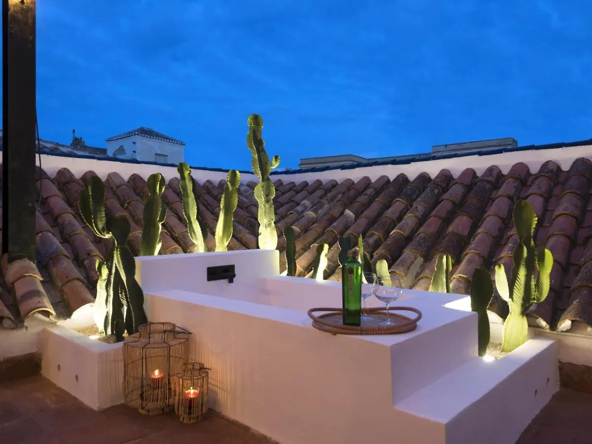 Old City Center Penthouse Malaga Apartment