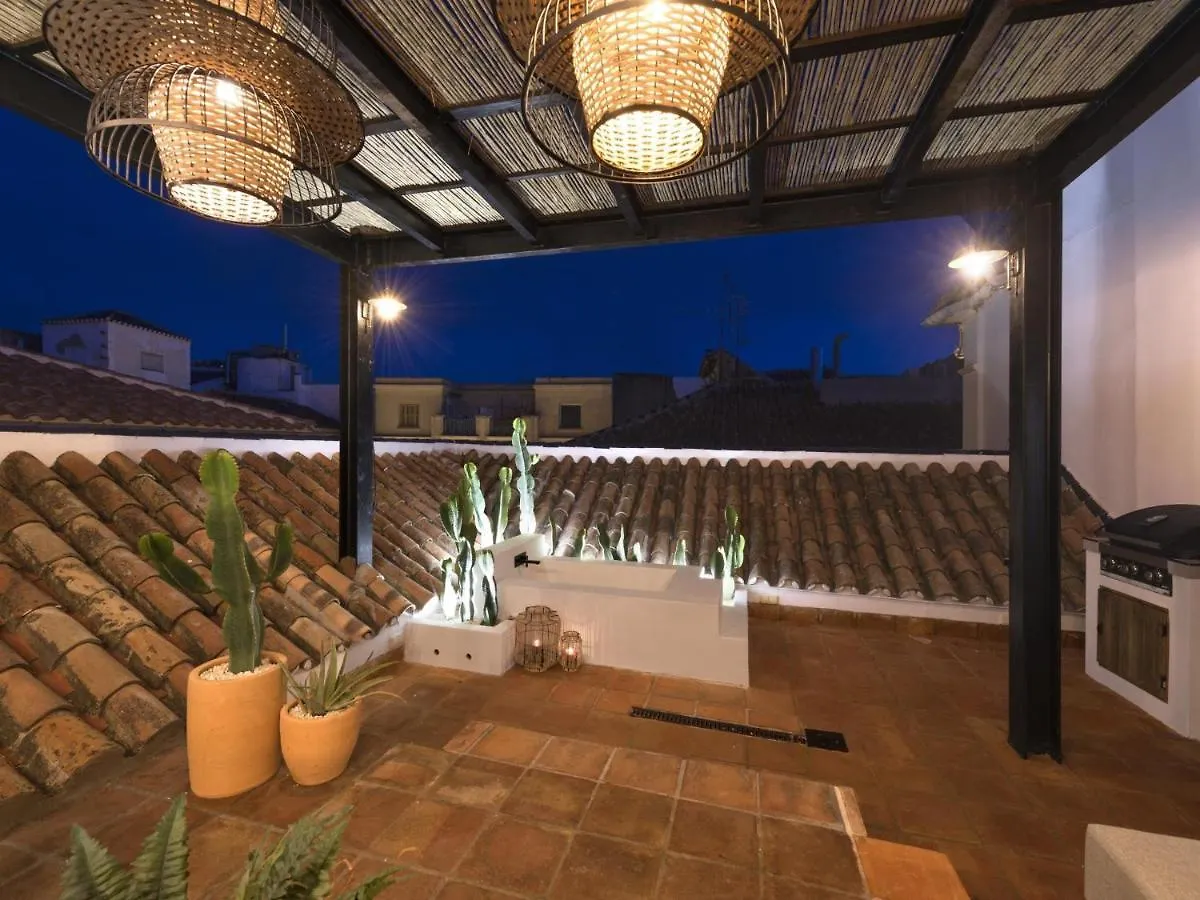 Apartment Old City Center Penthouse Malaga Spain