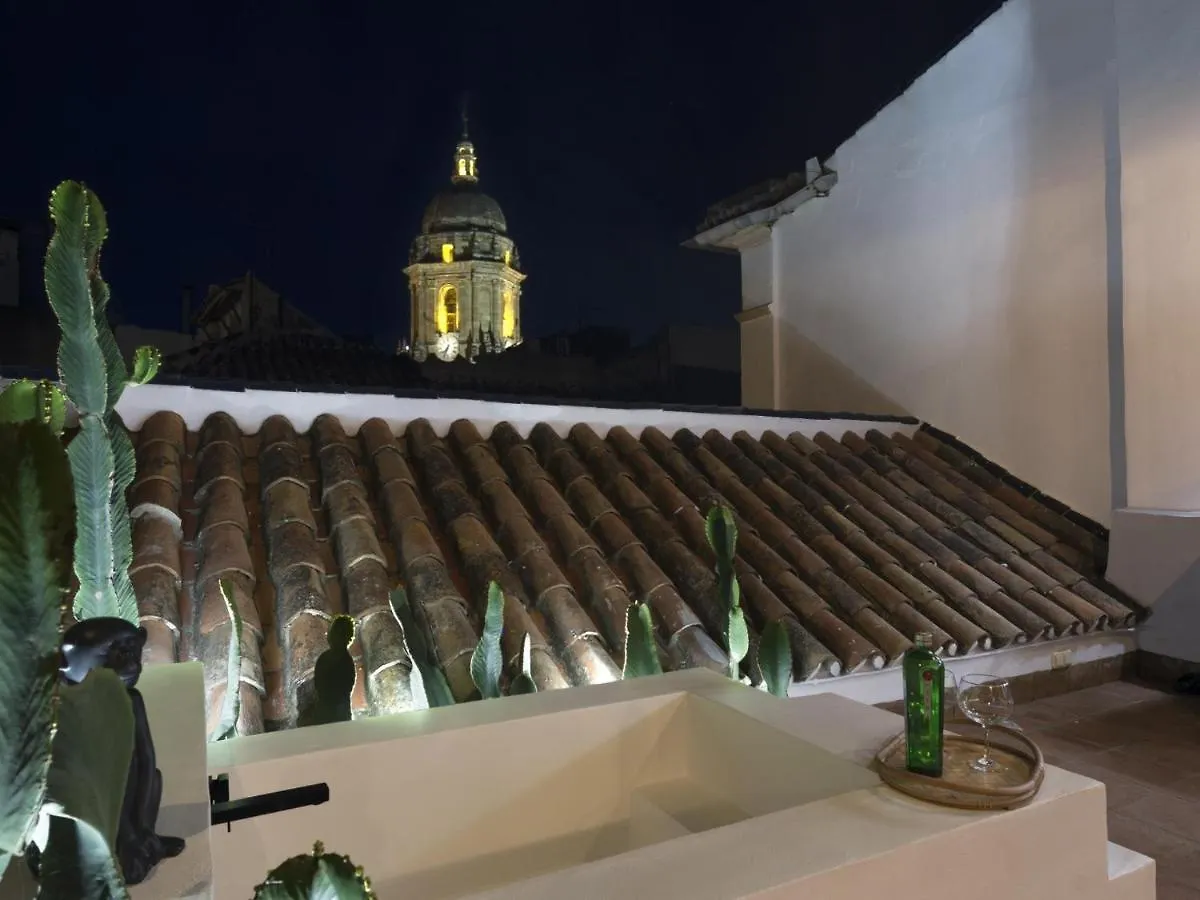 Apartment Old City Center Penthouse Malaga