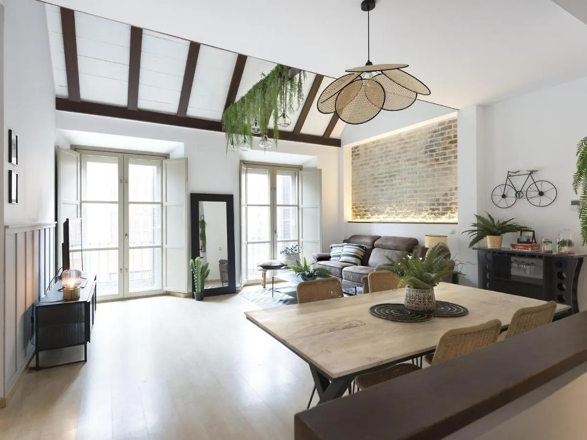 Old City Center Penthouse Malaga