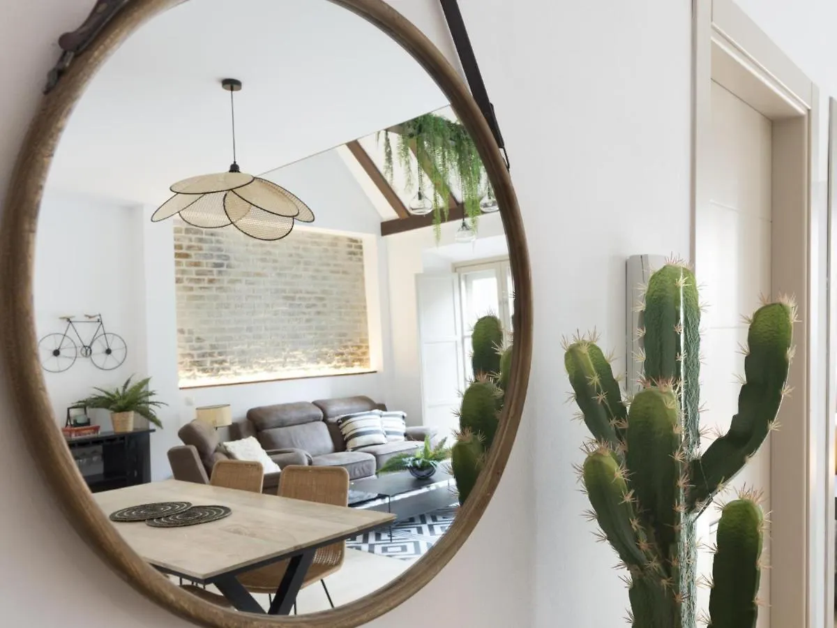 Old City Center Penthouse Malaga