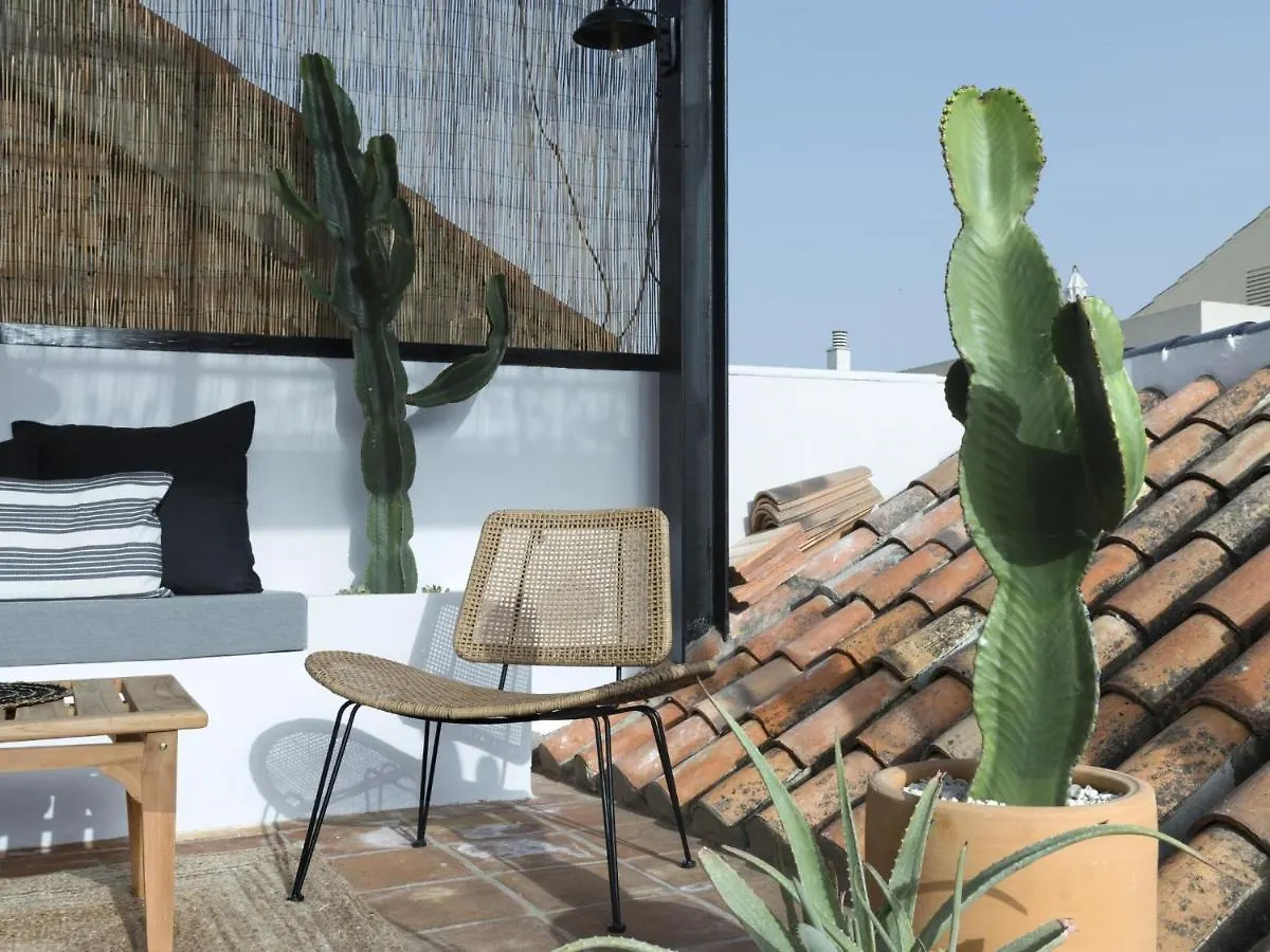 Old City Center Penthouse Malaga Spain
