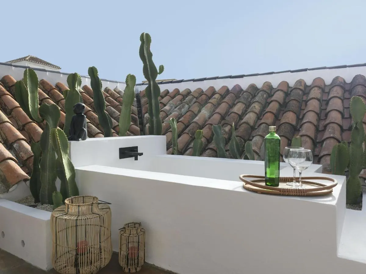 Old City Center Penthouse Malaga Apartment