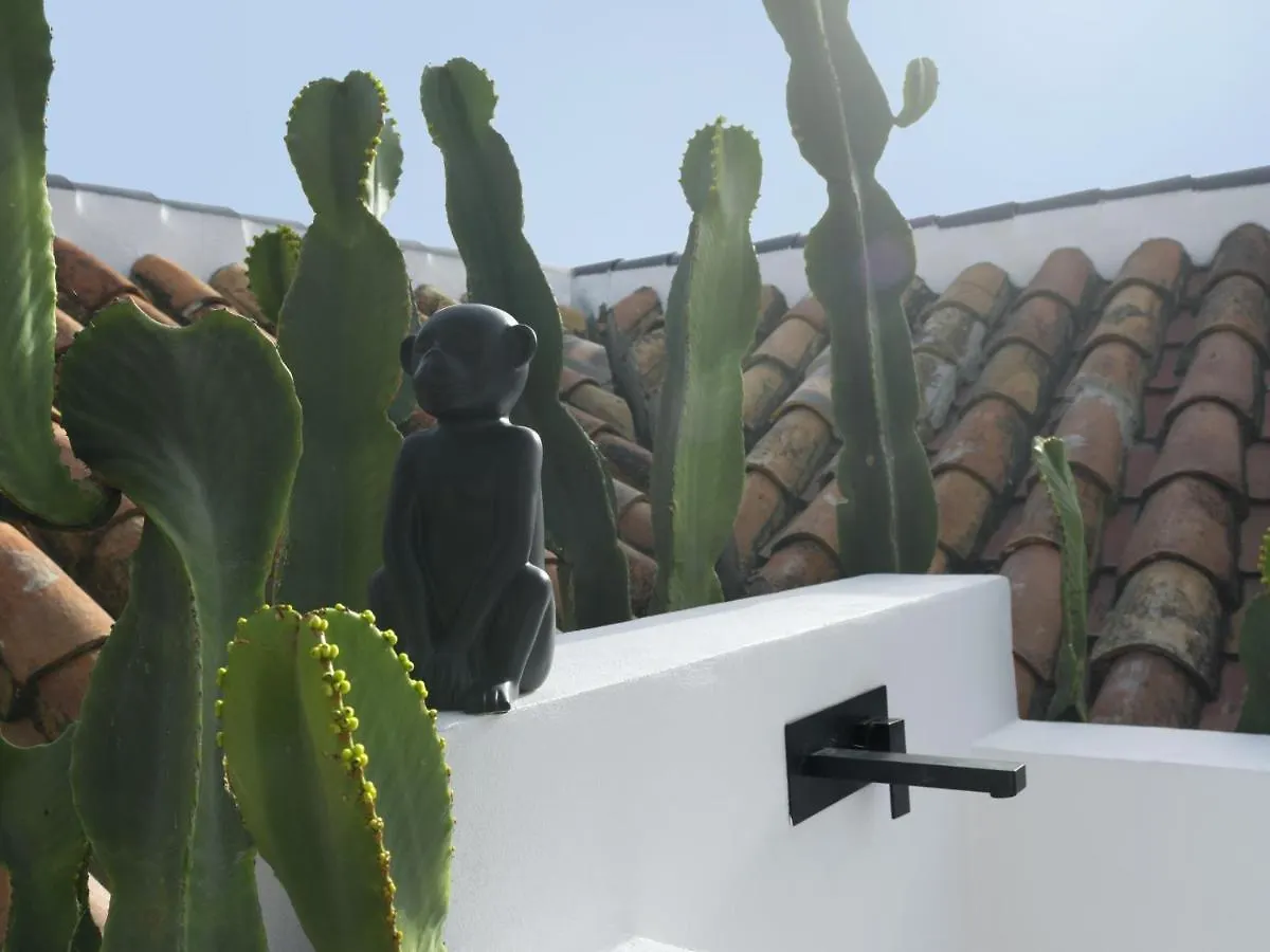 Old City Center Penthouse Malaga Spain